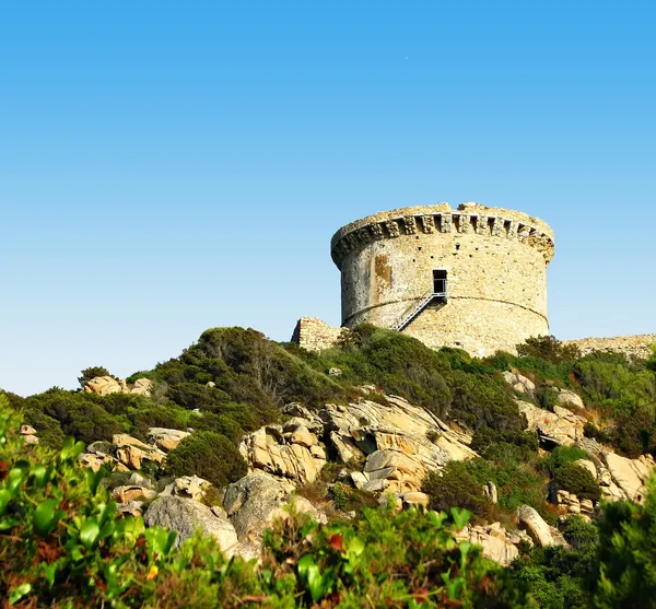 Tipikus genovai torony Korzika — Stock Fotó