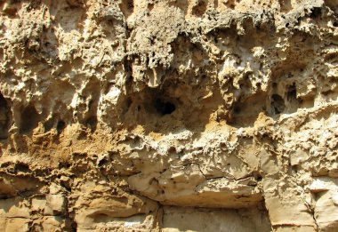 kaya ayrıntı arka plan