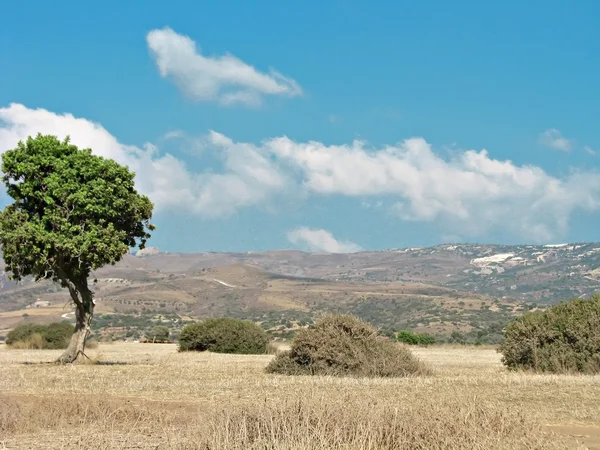 Cipro paesaggio — Foto Stock