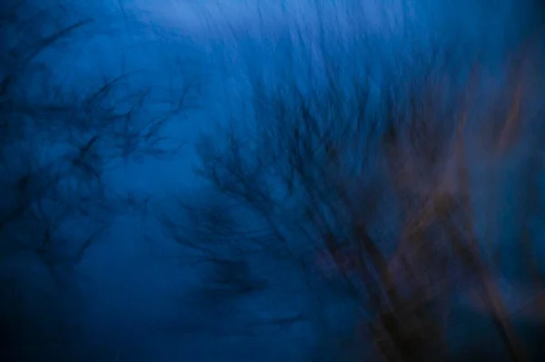 Árvores Entardecer Sombrio Efeito Borrão Abstrato — Fotografia de Stock