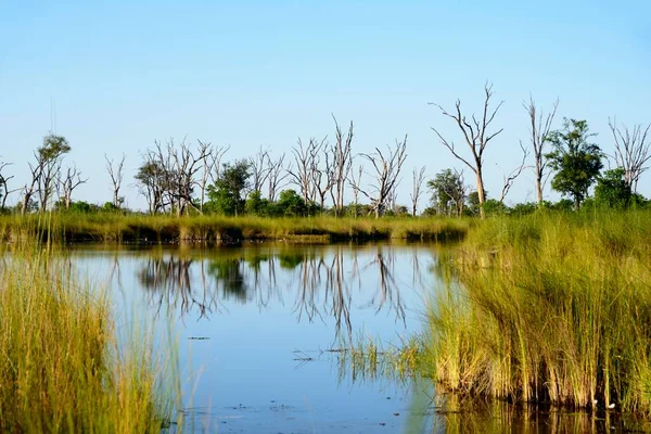 Paradijselijke Poelen Moremi Game Reserve Okavango Delta Botswana Afrika — Stockfoto
