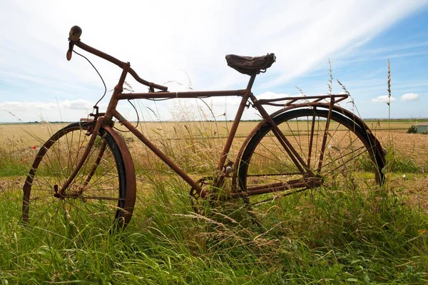 Ржавый Велосипед Траве Обочине Дороги Ванди Франция Европа — стоковое фото