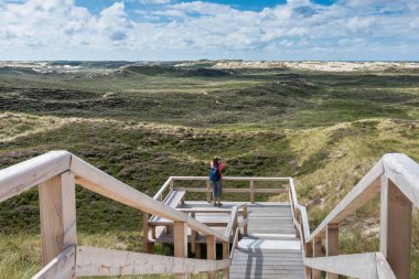 Dune landscape with lookout point, Listland, North Sylt Nature Reserve, List, Sylt, Schleswig-Holstein, Germany, Europe  clipart