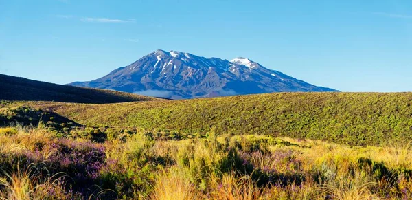 Vulcanico Innevato Monte Ruapehu Nel Parco Nazionale Del Tongariro Manawatu — Foto Stock
