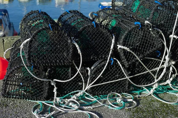 Rede Pesca Caranguejo Bryne Rogaland Noruega Europa — Fotografia de Stock