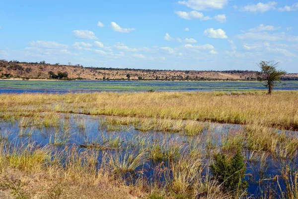 Rivière Chobe Traversant Parc National Chobe Botswana Afrique — Photo