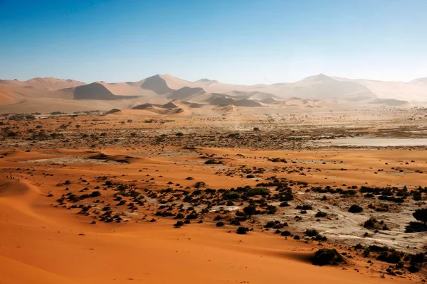 Sanddünen Namib Naukluft Nationalpark Namib Wüste Namibia Afrika — Stockfoto