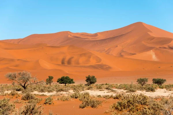 Dunas Areia Parque Nacional Namib Naukluft Deserto Namib Namíbia África — Fotografia de Stock