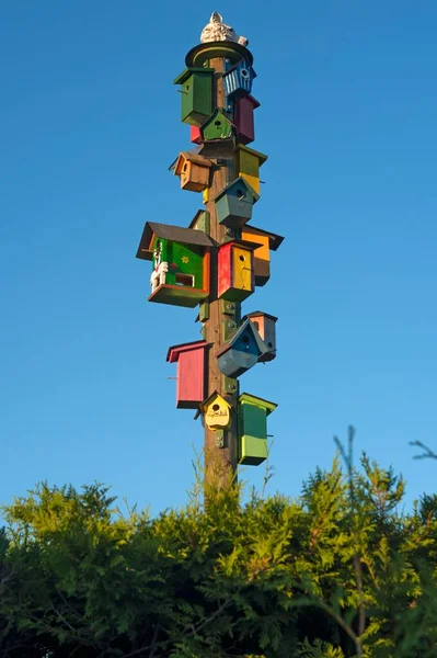 Много Разноцветных Гнездовых Коробок Коле Рейнхардт Ловер Саксония Германия Европа — стоковое фото