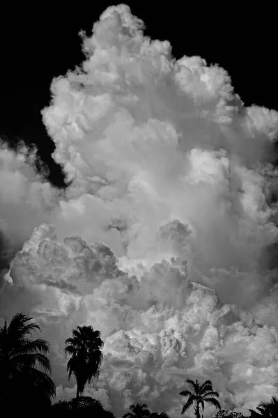 Nuvens Cumulonimbus Estação Chuvosa Preto Branco Corozal District Belize América — Fotografia de Stock