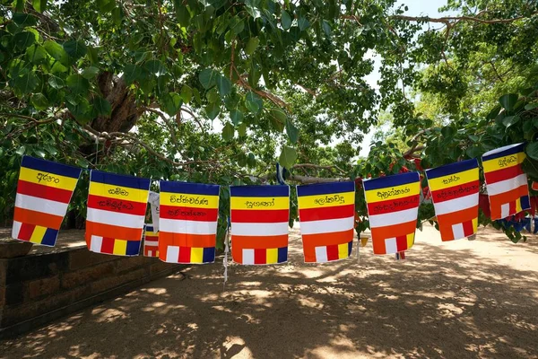 Mezinárodní Buddhistické Vlajky Posvátné Město Anuradhapura Severní Centrální Provincie Srí — Stock fotografie