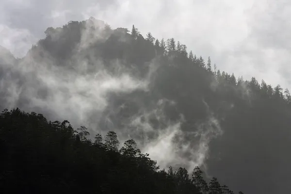 Góry Pokryte Roślinnością Pokryte Chmurami Rezerwat Leśny Sinharaja Sri Lanka — Zdjęcie stockowe