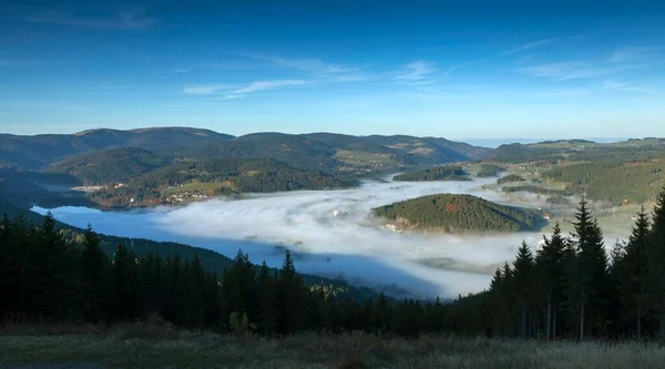 朝の霧の中でTitise Neustadt Black Forest Baden Wurtemberg Germany Europe — ストック写真