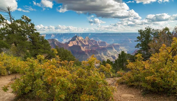 Vista Sul Grand Canyon North Rim Grand Canyon National Park — Foto Stock