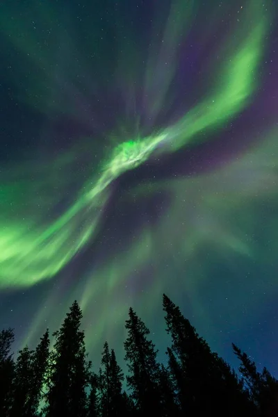 Aurora Boreal Sobre Los Árboles Kvikkjokk Laponia Suecia Europa —  Fotos de Stock