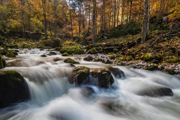 Skogsbäck Hartelsgraben Gesuse Nationalpark Steiermark Österrike Europa — Stockfoto