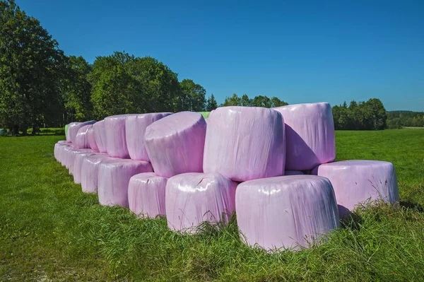 Silage Bales Pink Plastic Wrap Bavaria Germany Europe — Stockfoto