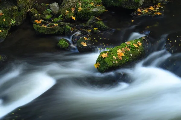 Bode Gorge Autumn Bodetal Harz National Park Saxony Anhalt Germany — Stockfoto