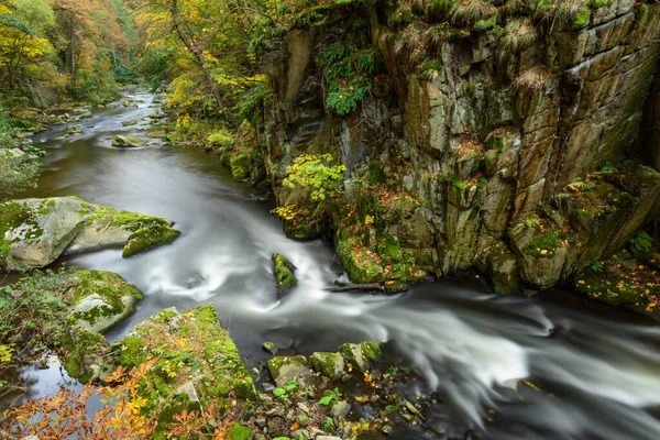 Bode Gorge Autumn Bodetal Harz National Park Saxony Anhalt Germany — Stockfoto