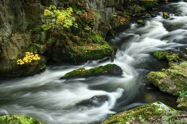 Bode Gorge Podzim Bodetal Harz National Park Sasko Anhaltsko Německo — Stock fotografie