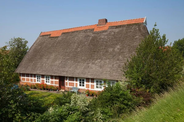 Thatched Cottage Half Timbered House Steinkirchen Altes Land Lower Saxony — Stock Photo, Image
