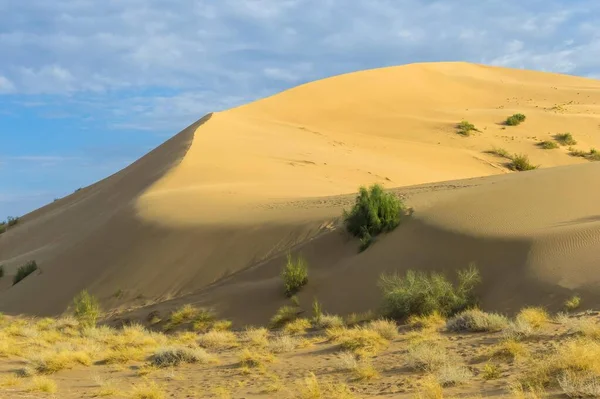 Dune Chant Parc National Altyn Emel Région Almaty Kazakhstan Asie — Photo