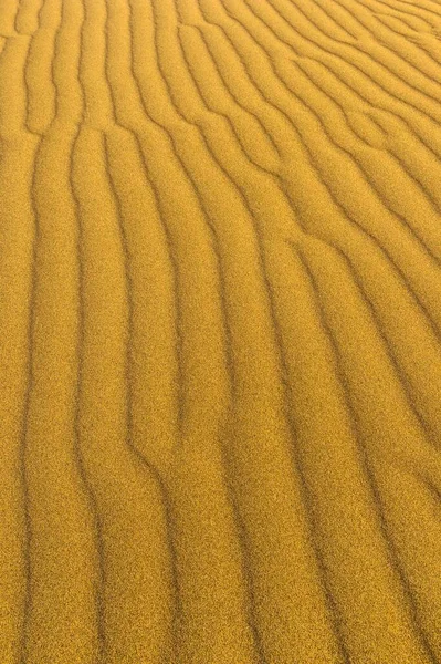 Singing Dune Altyn Emel National Park Almaty Region Kazakhstan Asia — Stock Photo, Image