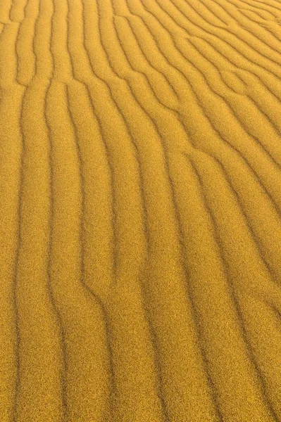 Singing Dune Altyn Emel Nationaal Park Almaty Region Kazachstan Azië — Stockfoto