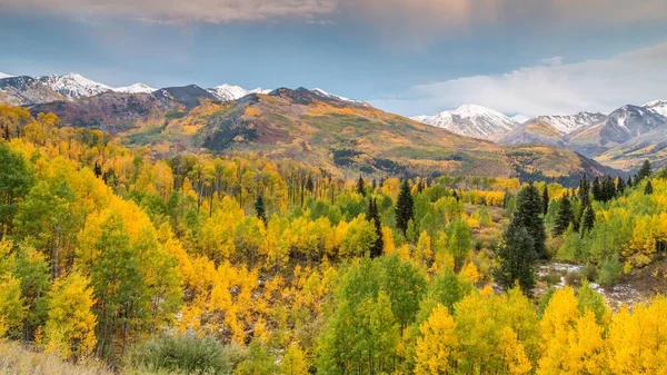 Paysage Montagneux Avec Forêt Automne Sommets Enneigés Des Rocheuses Colorado — Photo