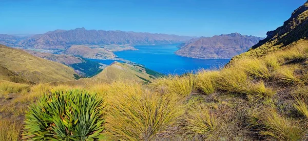 Panoramautsikt Från Toppen Ben Lomond Lake Wakatipu Remarkables Queenstown Otago — Stockfoto