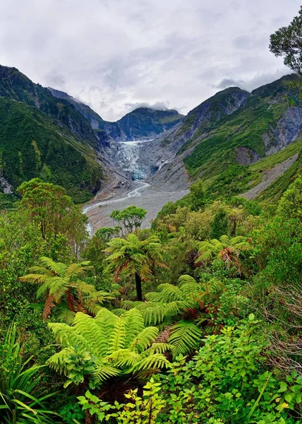 福克斯冰川和福克斯河 热带植被 韦斯特兰区 西海岸 新西兰 大洋洲 — 图库照片