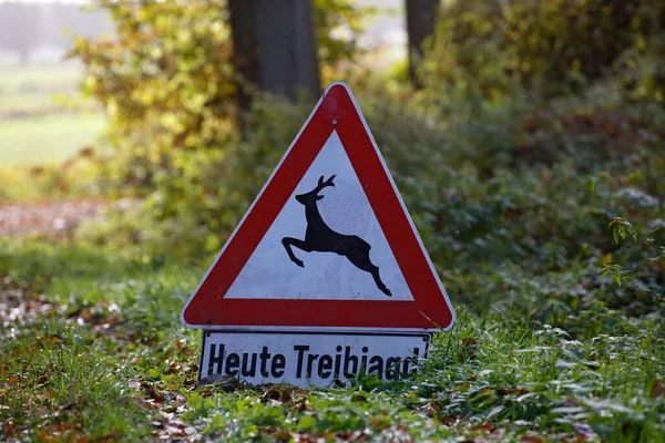 Предупреждающий Знак Переход Через Оленей Осень Германия Европа — стоковое фото