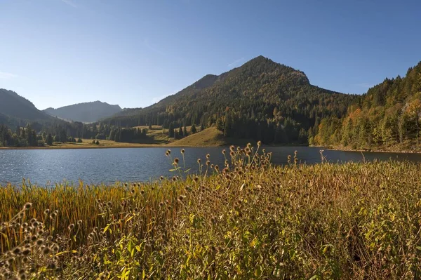 Lake Walchsee Autumn Tyrol Austria Europe — Stockfoto