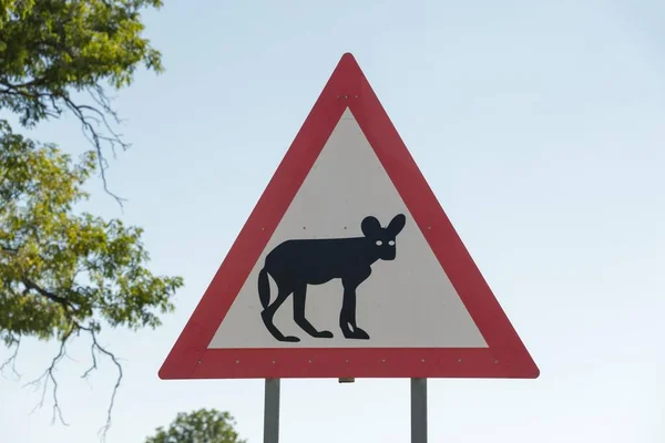 Road Sign Warning African Wild Dogs Caprivi Strip Namibia Africa — Stockfoto