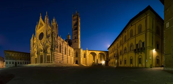 Cathédrale Sienne Cattedrale Santa Maria Assunta Scène Nocturne Sienne Toscane — Photo