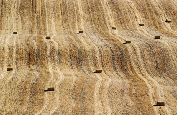 Szalmabálák Absztrakt Minták Kukoricaföldön Búza Betakarítása Után Cordoba Tartomány Andalúzia — Stock Fotó