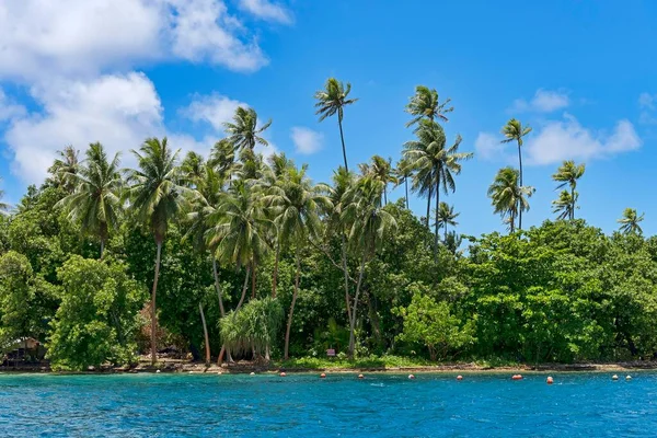 Пляж Пальм Райатеа Французская Полинезия Южная Часть Тихого Океана Океания — стоковое фото
