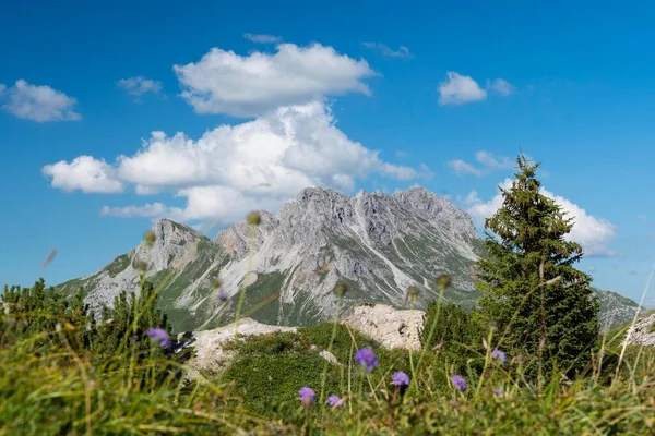 Karhorn Gipslcher Nature Reserve Lechquellen Mountains Vorarlberg Áustria Europa — Fotografia de Stock