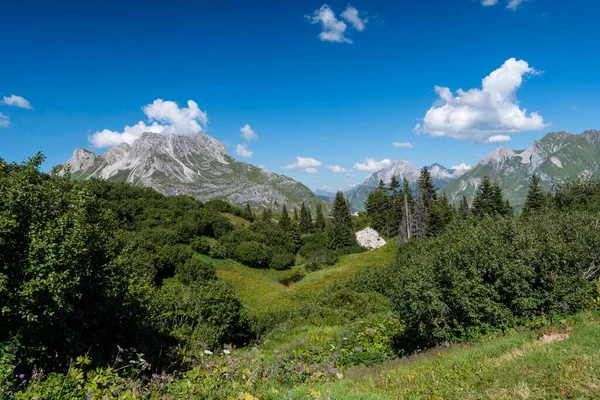 Karhorn Gipslcher Naturpark Lechquellen Vorarlberg Österreich Europa — Stockfoto