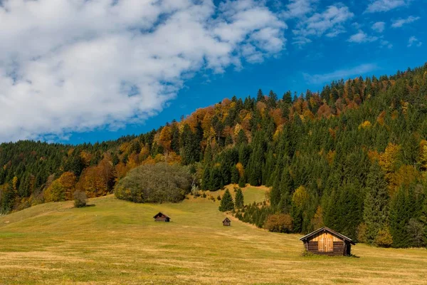 Jesienny Las Stodoła Siana Łące Krn Mittenwald Werdenfelser Land Górna — Zdjęcie stockowe