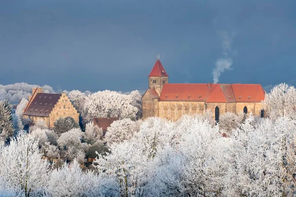 Breitenau Kloster Träd Med Hjorfrost Guxhagen Nordhessen Hessen Tyskland Europa — Stockfoto