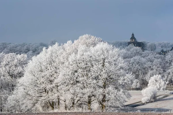 Árvores Com Geada Guxhagen North Hesse Hesse Alemanha Europa — Fotografia de Stock