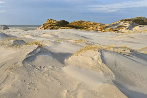 Bílé Písečné Duny Severní Moře Amrum Severní Fríský Ostrov Severní — Stock fotografie