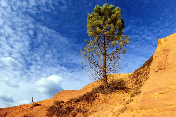 Ocher Quarry Colorado Provencal Rustrel Provence Alpes Cte Azur France — 스톡 사진