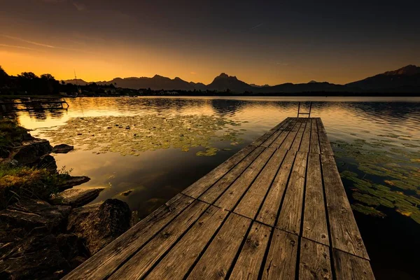 Dermaga Danau Dengan Lili Air Nymphaea Allgu Alpen Belakang Matahari — Stok Foto