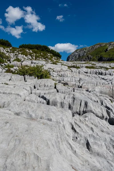 Skały Pogodowe Krajobraz Krasowy Steinernes Meer Góry Lechquellen Vorarlberg Austria — Zdjęcie stockowe