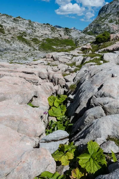 Karst Steinernes Meer Lech Lechquellen Vorarlberg Österreich Europa — Stockfoto