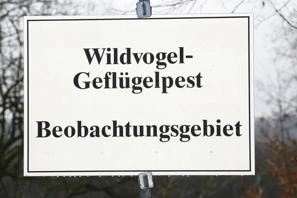 Znak Ostrzegawczy Grypa Ptaków Obszar Nadzoru Ptasiej Grypy Pinneberg Szlezwik — Zdjęcie stockowe