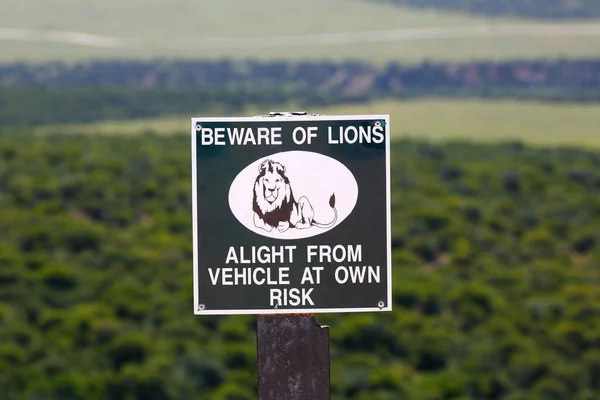 Señal Advertencia Cuidado Con Los Leones Mirador Salga Del Vehículo — Foto de Stock