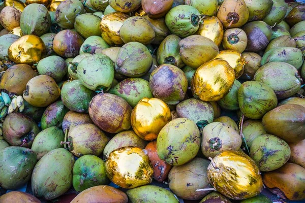 Vergulde Kokosnoten Als Offerande Yangon Myanmar Azië — Stockfoto